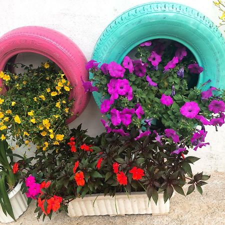 Thu Linh Homestay Đà Lạt Ngoại thất bức ảnh