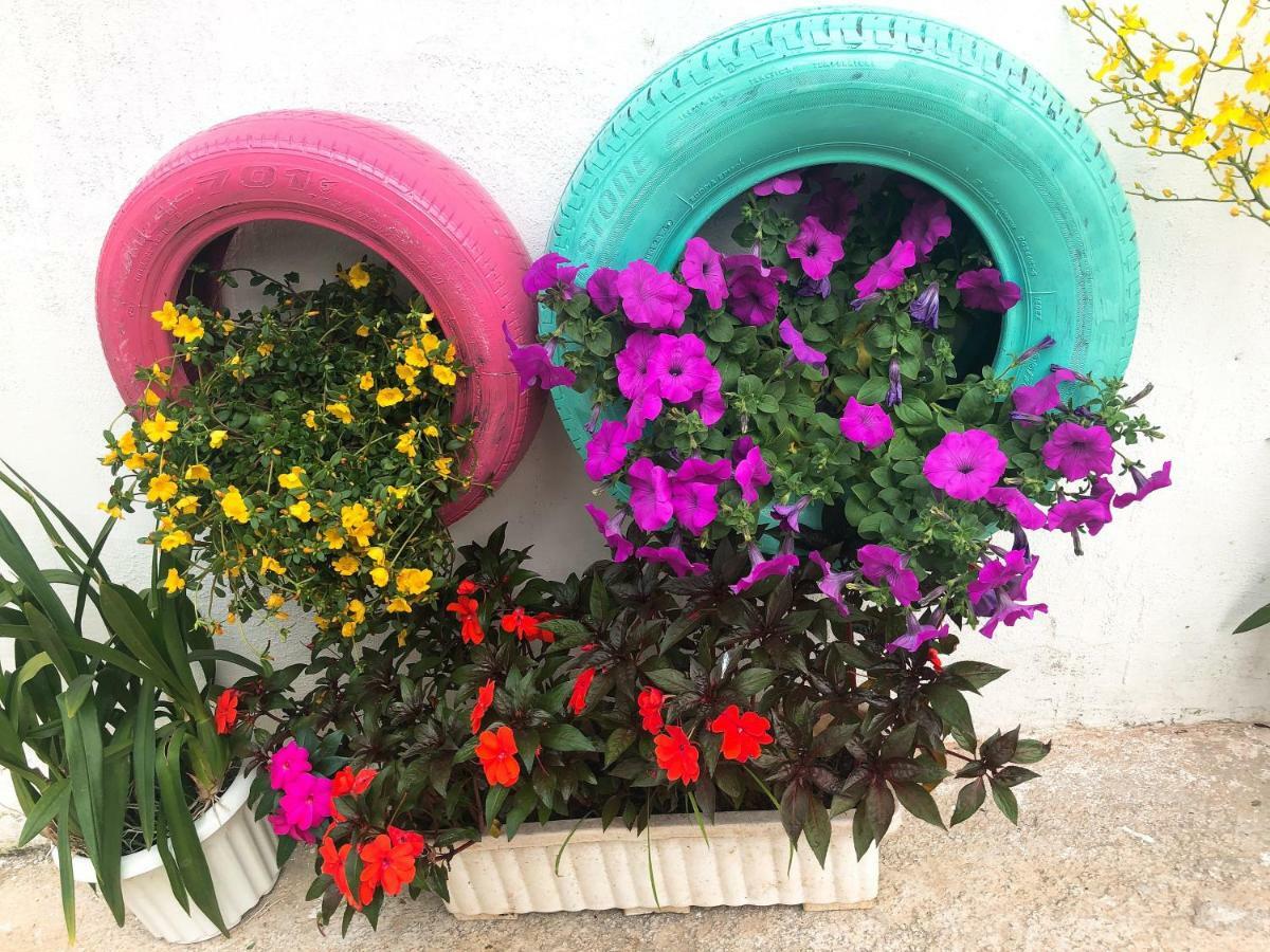 Thu Linh Homestay Đà Lạt Ngoại thất bức ảnh